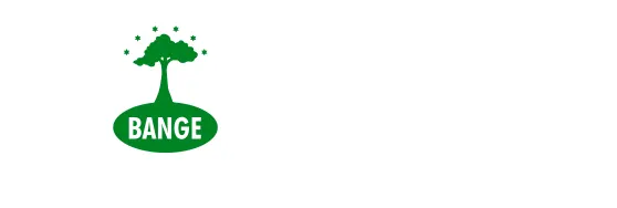 Bange Business School